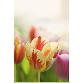 "Colorful tulips." Poster Print - Multi - Bed Bath &amp; Beyond - 27119106